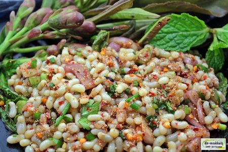 ก้อยไข่มดแดง, ไข่มดแดง, ก้อย, มดแดง, ไข่มด, Ants, Ants eggs, Egg ants