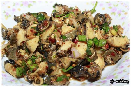 ก้อยหอย (ยำหอย), ก้อย, หอย, ก้อยหอย, ยำหอย, หอยเชอรี่, shellfish, Pomacea canaliculata
