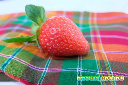 บักสตอเบอรี่, สตอเบอรี่, strawberry, เกาหลี,