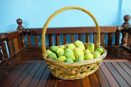 มะม่วง, มะม่วงมหาชนก, ลูกมะม่วง, ผลมะม่วง, ผลไม้, มหาชนก, mango, Mahachanok , Rainbow Mango, ตระกร้า, ตระกร้าใส่มะม่วง, มะม่วงในตระกร้า,